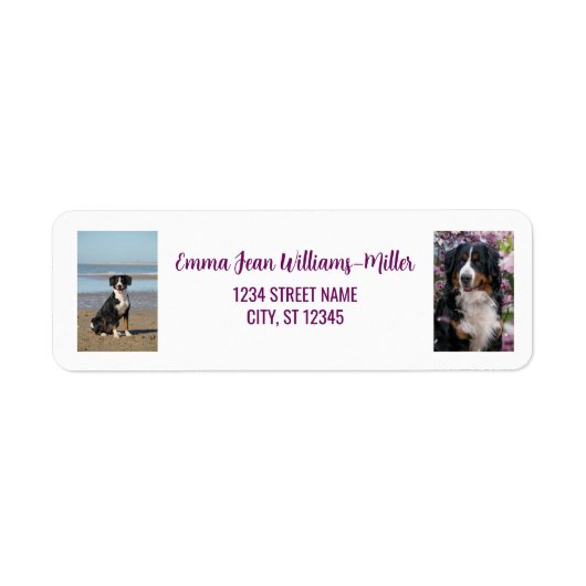 Personalisieren von Fotos mit Hund Moderne Rücksen (Vorne)