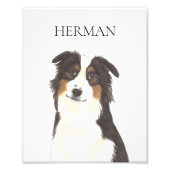 Personalisiert Aussie Australian Shepherd Fotodruck (Vorne)