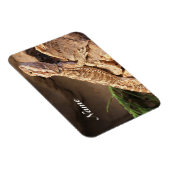 Personalisiert Baby Bearded Dragon Lizard Magnet (Rechte Seite)