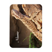 Personalisiert Baby Bearded Dragon Lizard Magnet (Vertikal)