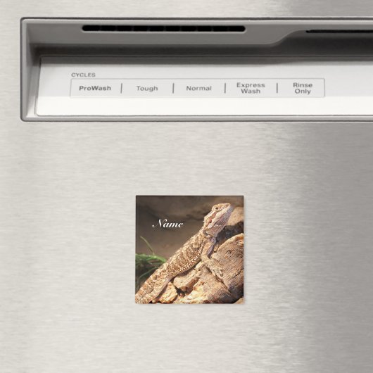 Personalisiert Baby Bearded Dragon Lizard Magnet (In Situ (Geschirrspüler))