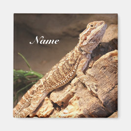 Personalisiert Baby Bearded Dragon Lizard Magnet
