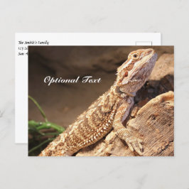 Personalisiert Baby Bearded Dragon Lizard Postkarte