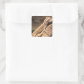Personalisiert Baby Bearded Dragon Lizard Quadratischer Aufkleber (Tasche)