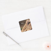 Personalisiert Baby Bearded Dragon Lizard Quadratischer Aufkleber (Umschlag)