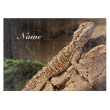 Personalisiert Baby Bearded Dragon Lizard
