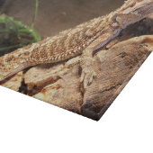 Personalisiert Baby Bearded Dragon Lizard Schneidebrett (Ecke)
