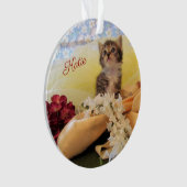 Personalisiert Ballerina Kitten Kate - Acrylic Ornament (Vorderseite)