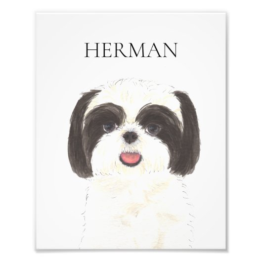 Personalisiert Black and White Shih Tzu Art Fotodruck (Vorne)