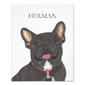 Personalisiert Black Brindle Frenchie French Bulld Fotodruck (Vorne)