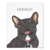 Personalisiert Black und Tan Frenchie French Bulld Fotodruck (Vorne)