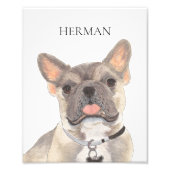 Personalisiert Blue Fawn Frenchie French Bulldog A Fotodruck (Vorne)