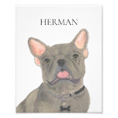 Personalisiert Blue Gray Frenchie French Bulldog A Fotodruck (Vorne)