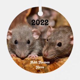 Personalisiert Blue Grey Dumbo Pet Rats Ornament Aus Metall