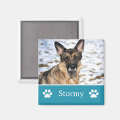 Personalisiert Blue Pet Foto Magnet (Vorderseite/Rückseite)