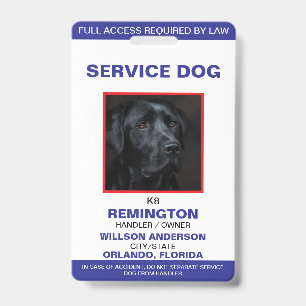 Personalisiert-Blue-White-Service-Hund-Foto-ID Ausweis