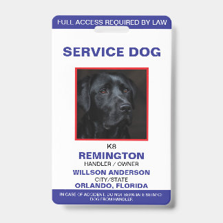 Personalisiert-Blue-White-Service-Hund-Foto-ID Ausweis