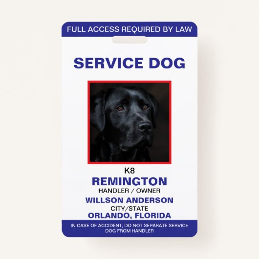 Personalisiert-Blue-White-Service-Hund-Foto-ID Ausweis (Vorderseite)