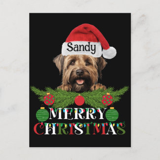 Personalisiert Briard Dog Frohe Weihnachten