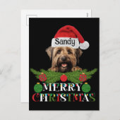 Personalisiert Briard Dog Frohe Weihnachten (Vorne/Hinten)