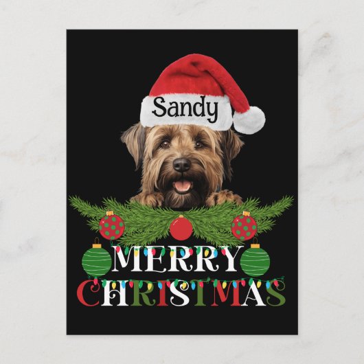 Personalisiert Briard Dog Frohe Weihnachten (Vorderseite)