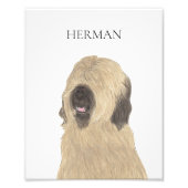 Personalisiert Briard Fotodruck (Vorne)