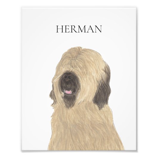 Personalisiert Briard Fotodruck (Vorne)