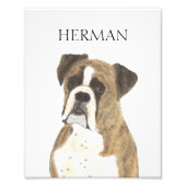 Personalisiert Brindle Boxer Dog Fotodruck (Vorne)