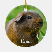 Personalisiert Brown Guinea Pig Keramik Ornament (Vorne)