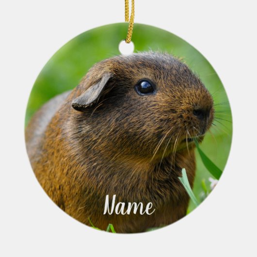 Personalisiert Brown Guinea Pig Keramik Ornament (Vorne)