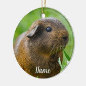 Personalisiert Brown Guinea Pig Keramik Ornament (Links)