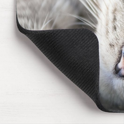 Personalisiert Cat Kitten Themed Mouse Pad Mousepa Mousepad (Ecke)