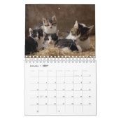 Personalisiert Cat Lovers 2026 Foto Kalender (Jan 2027)