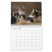 Personalisiert Cat Lovers 2026 Foto Kalender (Jan 2026)