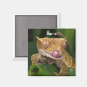 Personalisiert Crested Gecko Lizard Magnet (Vorderseite/Rückseite)