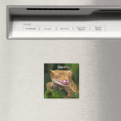 Personalisiert Crested Gecko Lizard Magnet (In Situ (Geschirrspüler))