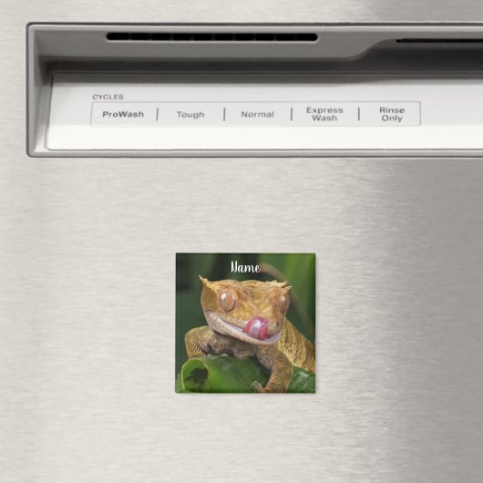 Personalisiert Crested Gecko Lizard Magnet (In Situ (Geschirrspüler))