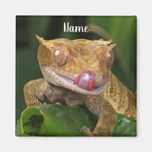Personalisiert Crested Gecko Lizard Magnet (Vorne)