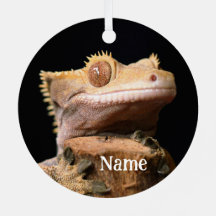 Personalisiert Crested Gecko Lizard