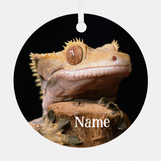 Personalisiert Crested Gecko Lizard Ornament Aus Metall (Rückseite)