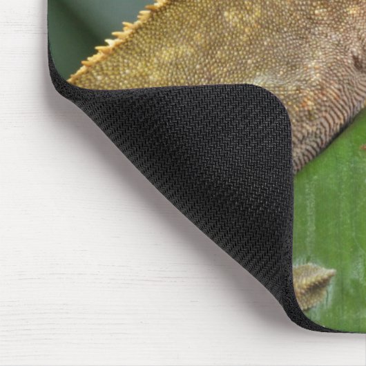 Personalisiert Crested Gecko Pet Lizard Mousepad (Ecke)