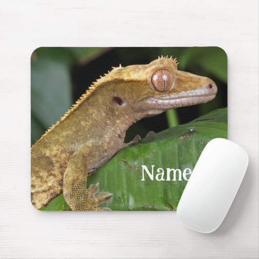 Personalisiert Crested Gecko Pet Lizard Mousepad (Mit Mouse)