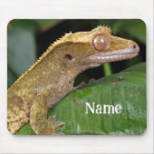 Personalisiert Crested Gecko Pet Lizard Mousepad (Vorne)
