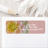 Personalisiert Day Dreamer Dahlia Blume (Insitu)