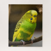 Personalisiert-Englisch-Budgie Parakeet Puzzle (Vertikal)
