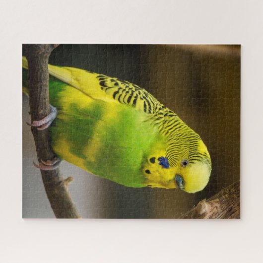 Personalisiert-Englisch-Budgie Parakeet Puzzle (Horizontal)