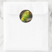 Personalisiert-Englisch-Budgie Parakeet Runder Aufkleber (Tasche)