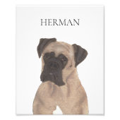 Personalisiert Fawn Masked Boxer Fotodruck (Vorne)