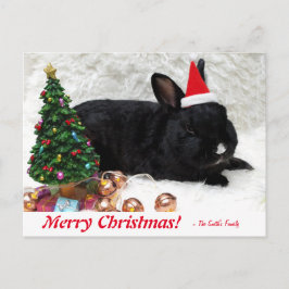 Personalisiert Frohe Weihnachten Bunny Rabbit Post Postkarte