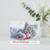 Personalisiert Frohe Weihnachts-Kitten mit Weihnac Postkarte (Stehend Vorderseite)